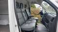 Fiat Ducato Ducato 250 L2H2 LKW-Zul. 96KW Klima HU/AU 03/26 Weiß - thumbnail 9