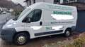 Fiat Ducato Ducato 250 L2H2 LKW-Zul. 96KW Klima HU/AU 03/26 Weiß - thumbnail 3