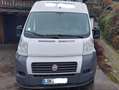 Fiat Ducato Ducato 250 L2H2 LKW-Zul. 96KW Klima HU/AU 03/26 Weiß - thumbnail 2