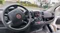 Fiat Ducato Ducato 250 L2H2 LKW-Zul. 96KW Klima HU/AU 03/26 Weiß - thumbnail 11