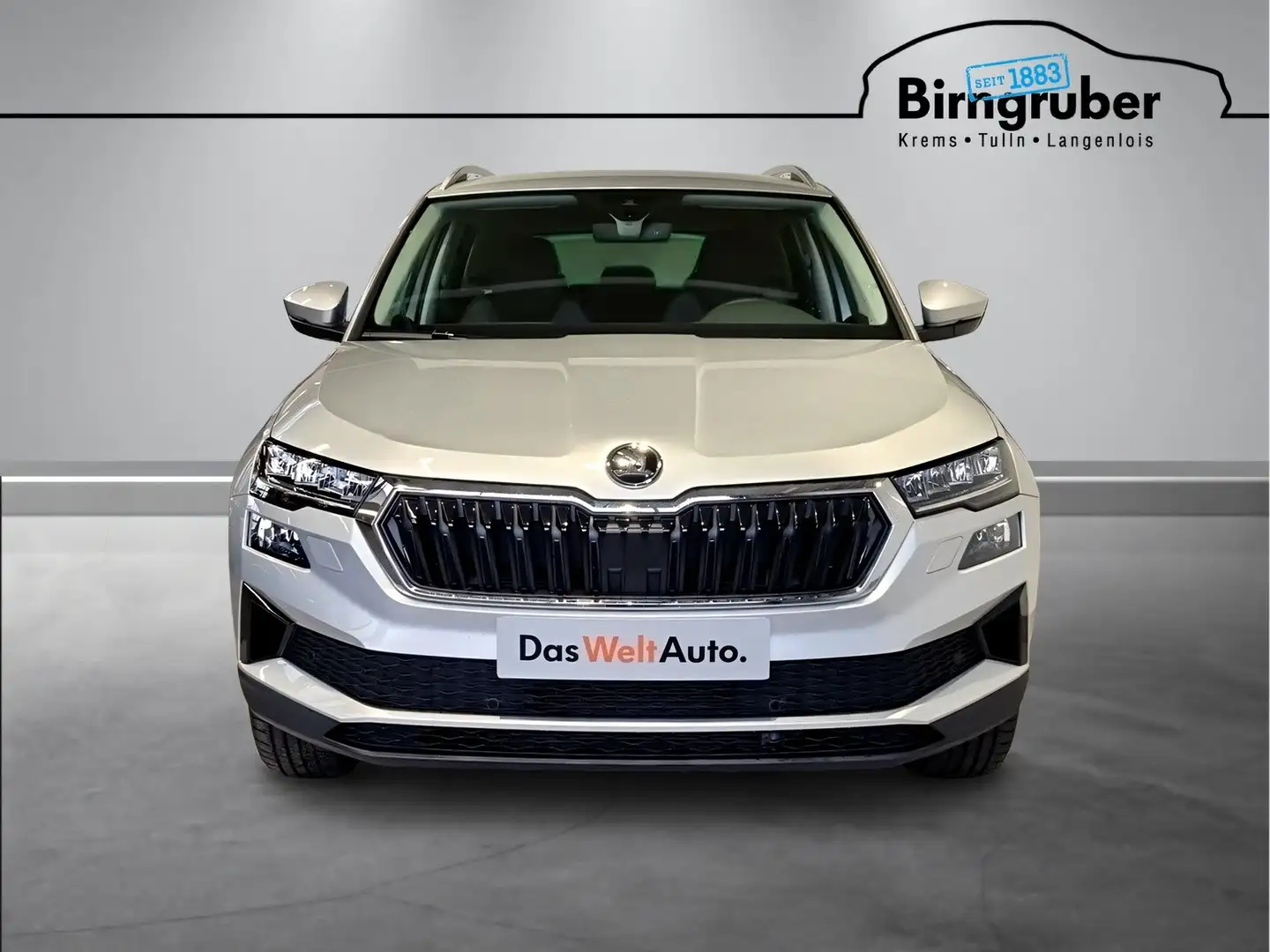 Skoda Karoq Selection TSI Silber - 2