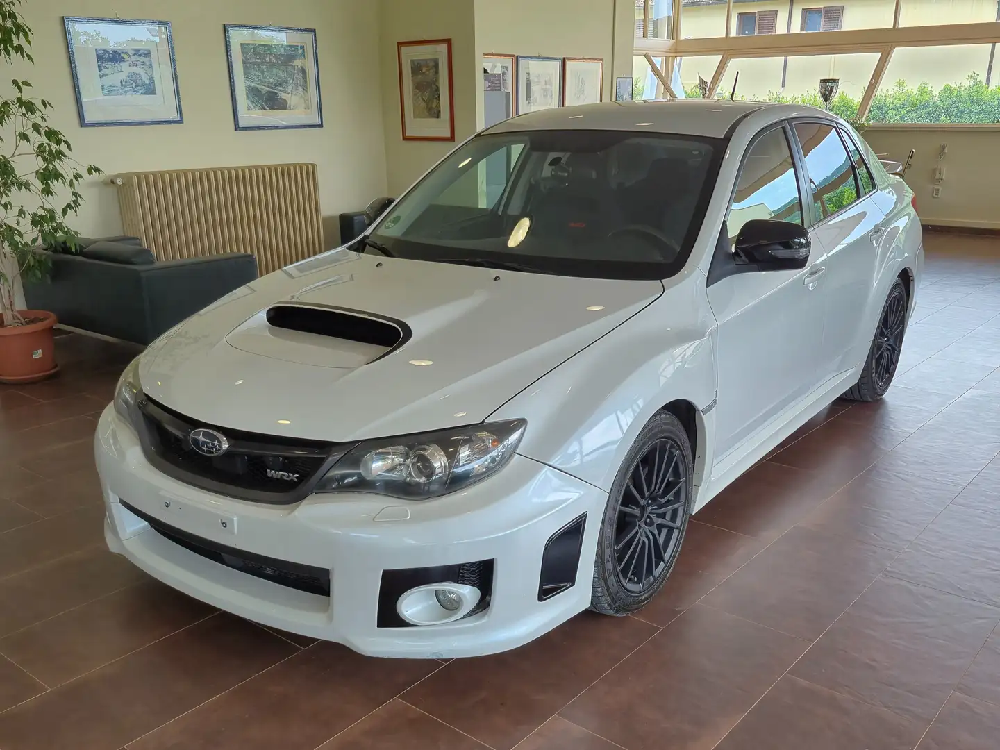 Subaru Impreza 2.5 WRX STI SPORT Bianco - 1