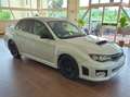 Subaru Impreza 2.5 WRX STI SPORT Bianco - thumbnail 3