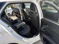 Fiat Tipo S-Design*TOP Ausstattung*Automatik*Pickerl NEU* Weiß - thumbnail 28