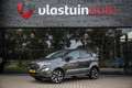 Ford EcoSport 1.0 EcoBoost Titanium , Trekhaak, Achteruitrijcame Grijs - thumbnail 1