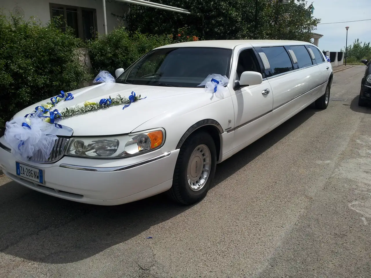 Lincoln Town Car Limousine, foto 3