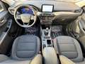 Ford Kuga Kuga 2.0 ecoblue mhev Titanium Business 2wd 150cv Blu/Azzurro - thumbnail 15