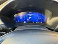 Ford Kuga Kuga 2.0 ecoblue mhev Titanium Business 2wd 150cv Blauw - thumbnail 19