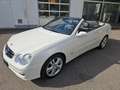 Mercedes-Benz CLK 200 Cabrio Kompressor  Avantgarde PDC SH... bijela - thumbnail 12