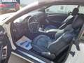 Mercedes-Benz CLK 200 Cabrio Kompressor  Avantgarde PDC SH... White - thumbnail 8