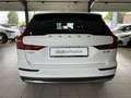 Volvo V60 Cross Country CC B5 Ultimate AWD ACC BLIS B&W 360° Standhz Blanc - thumbnail 8