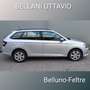 Skoda Fabia 1.4 TDI 90 CV DSG Wagon Executive Silber - thumbnail 3
