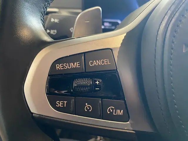 BMW 3 Series view 13