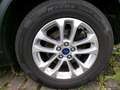 Ford Kuga Hybrid Titanium X Grau - thumbnail 6