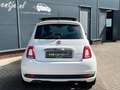 Fiat 500 1.0 Hybrid Sport *schuifdak *climate *carplay *16” Wit - thumbnail 5