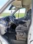 Ford Transit Kasten 2,0 EcoBlue L4H3 350 Trend - thumbnail 11