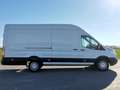 Ford Transit Kasten 2,0 EcoBlue L4H3 350 Trend - thumbnail 7