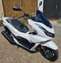 Honda PCX 125 Weiß - thumbnail 2