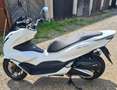 Honda PCX 125 Weiß - thumbnail 4