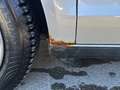 Volkswagen Polo Comfortline Grau - thumbnail 7