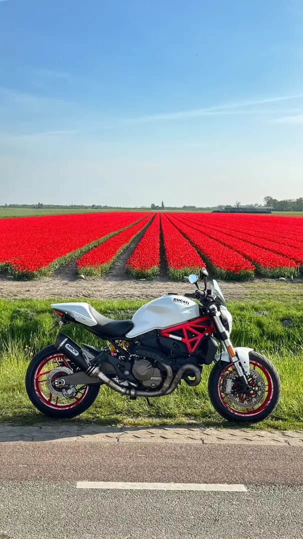 Ducati Monster 821 - 1
