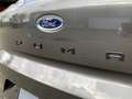 Ford Puma 1.0i EB Hybrid 125pk ST-Line | Navi | Cruise | Stu Gris - thumbnail 15