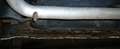 Volkswagen T4 Transporter 70H1F2/W24 Blanco - thumbnail 33