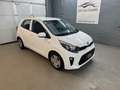 Kia Picanto 1,0 MPI Titan*1-Besitz* Weiß - thumbnail 2