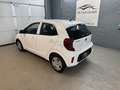 Kia Picanto 1,0 MPI Titan*1-Besitz* Weiß - thumbnail 9