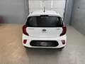 Kia Picanto 1,0 MPI Titan*1-Besitz* Weiß - thumbnail 11