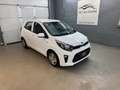 Kia Picanto 1,0 MPI Titan*1-Besitz* Weiß - thumbnail 6
