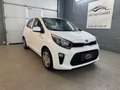 Kia Picanto 1,0 MPI Titan*1-Besitz* Weiß - thumbnail 1