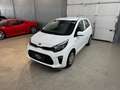 Kia Picanto 1,0 MPI Titan*1-Besitz* Weiß - thumbnail 5