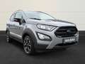 Ford EcoSport Active 1.0 EcoBoost+Kamera+Technik-P+Winter-P+Fahr Argent - thumbnail 6