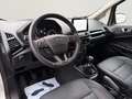 Ford EcoSport Active 1.0 EcoBoost+Kamera+Technik-P+Winter-P+Fahr Argent - thumbnail 10