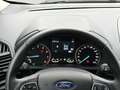 Ford EcoSport Active 1.0 EcoBoost+Kamera+Technik-P+Winter-P+Fahr Argent - thumbnail 17