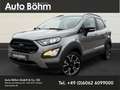 Ford EcoSport Active 1.0 EcoBoost+Kamera+Technik-P+Winter-P+Fahr Silber - thumbnail 1