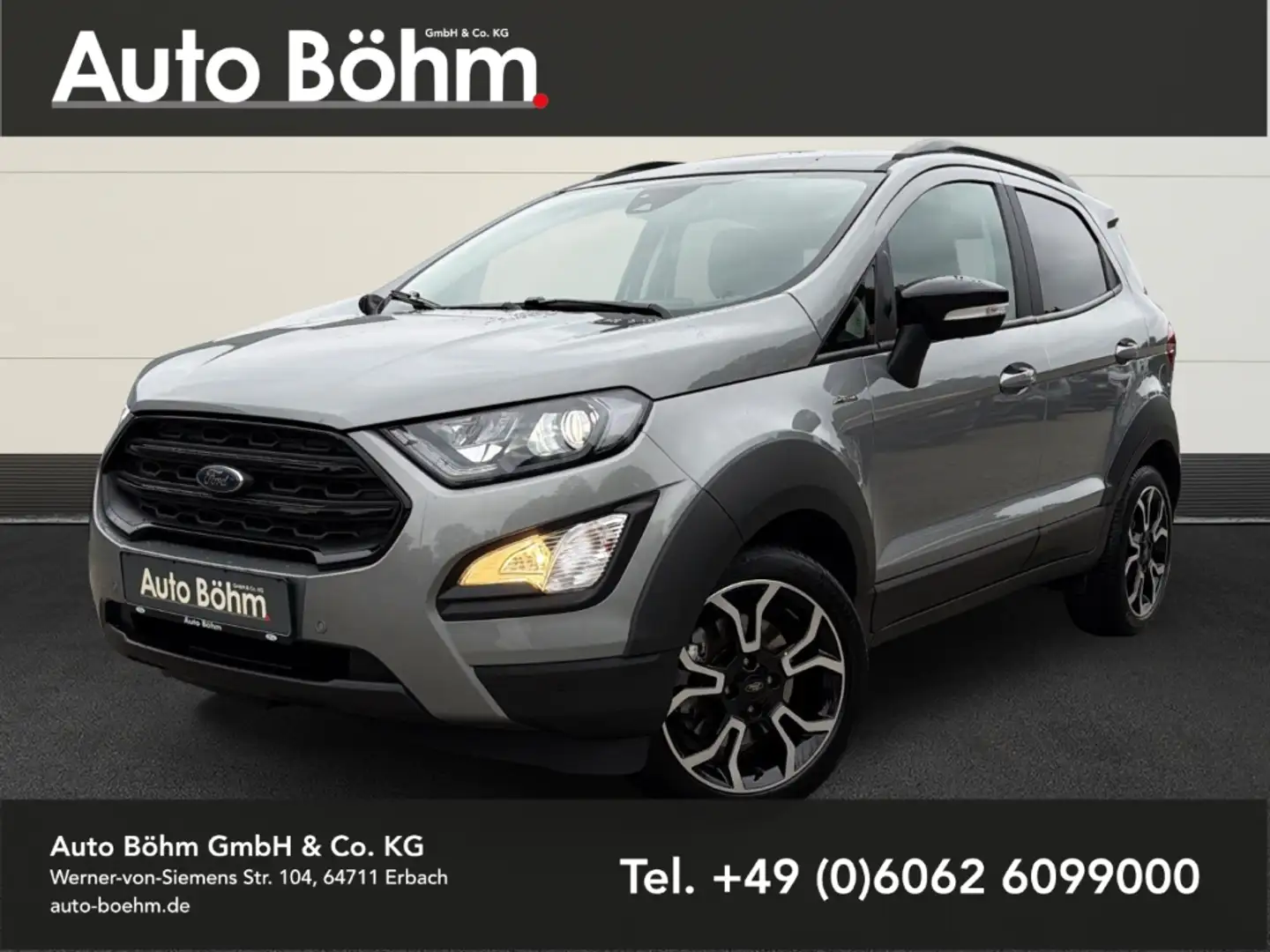 Ford EcoSport Active 1.0 EcoBoost+Kamera+Technik-P+Winter-P+Fahr Silber - 1