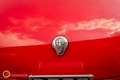 Alfa Romeo Giulietta 1300 SPYDER Rouge - thumbnail 22