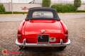 Alfa Romeo Giulietta 1300 SPYDER Rouge - thumbnail 5