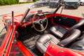 Alfa Romeo Giulietta 1300 SPYDER Rouge - thumbnail 14