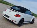 Volkswagen Beetle 2.0 TDi Exclusive DSG garantie 1 an et entretien Blanc - thumbnail 6