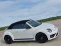 Volkswagen Beetle 2.0 TDi Exclusive DSG garantie 1 an et entretien Blanc - thumbnail 5