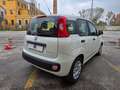 Fiat Panda 1.0 FireFly S&S Hybrid Easy Wit - thumbnail 4