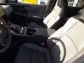 Subaru Solterra Allrad Grau - thumbnail 13
