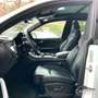 Audi Q8 50 TDI 286 CV quattro Competition Plus S line B&O Blanc - thumbnail 9