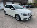 Mercedes-Benz B 180 B 180 CDI / d (246.212) Navi, PDC Blanc - thumbnail 7