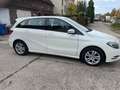Mercedes-Benz B 180 B 180 CDI / d (246.212) Navi, PDC Blanc - thumbnail 8