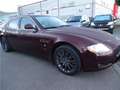 Maserati Quattroporte 4.2i V8 Paars - thumbnail 6
