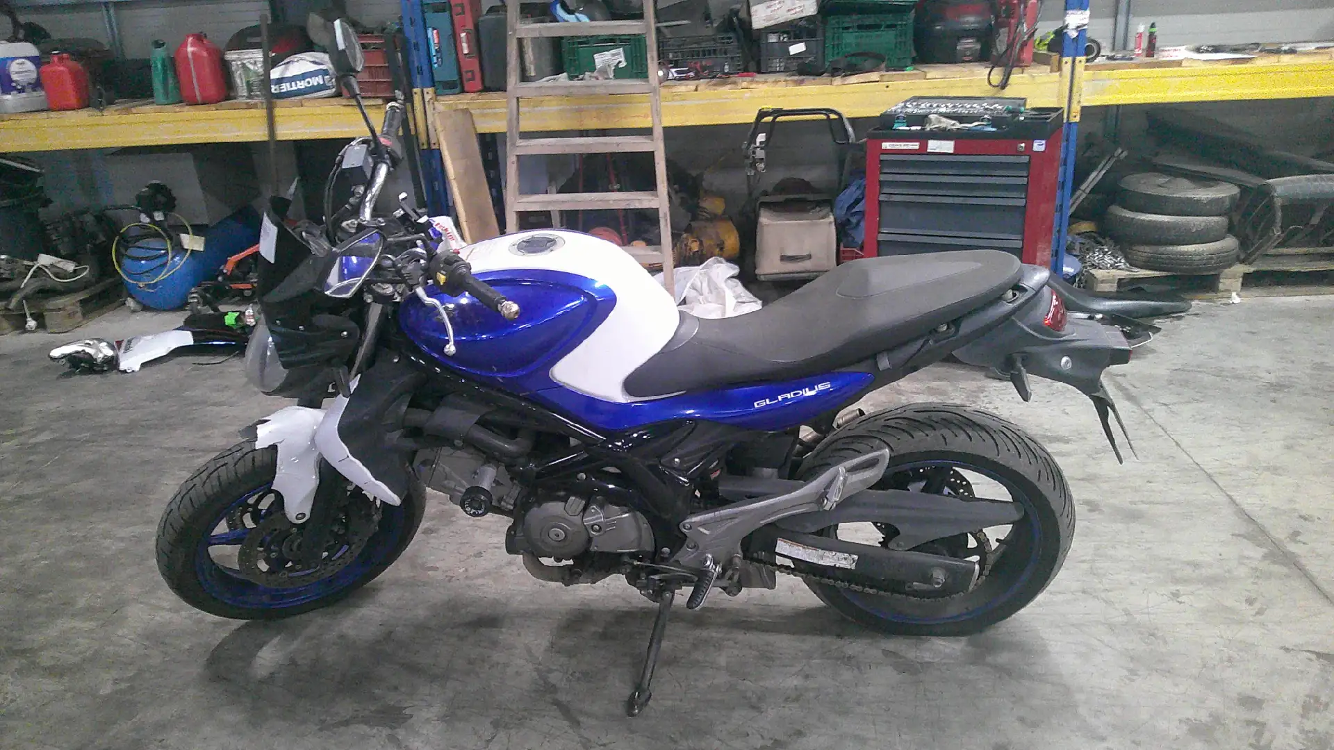Suzuki Gladius 650 - 1